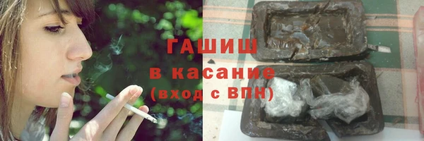 сатива Балахна