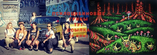 ГАЛЛЮЦИНОГЕННЫЕ ГРИБЫ Белоозёрский