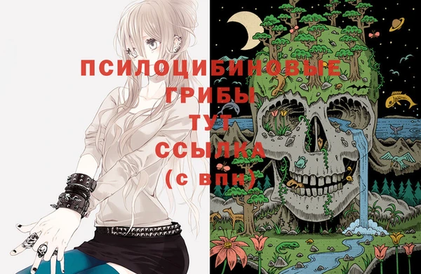 ГАЛЛЮЦИНОГЕННЫЕ ГРИБЫ Белоозёрский