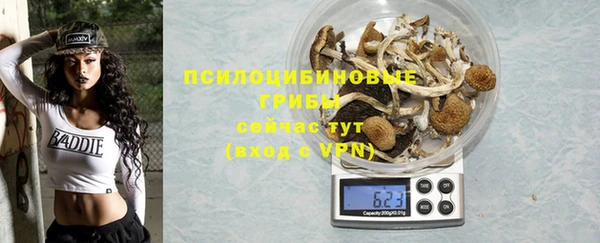 apvp Беломорск